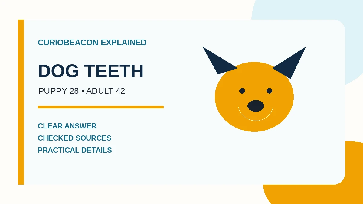 Illustration comparing a puppy's baby teeth with the tooth groups in an adult dog's mouth