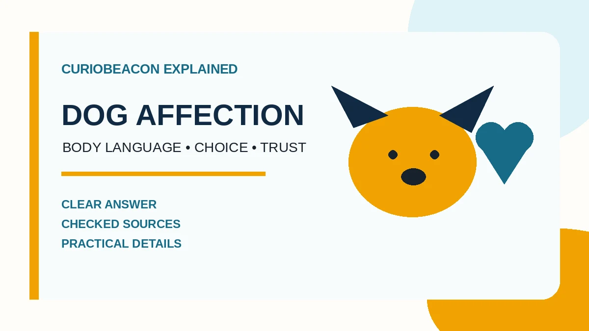 CurioBeacon illustration of a dog and a heart representing affection and trust.