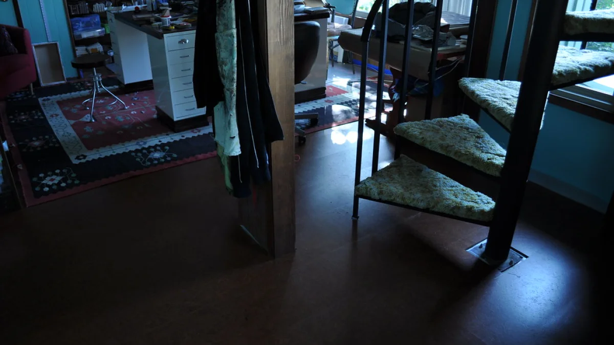 Natural cork flooring in a furnished room