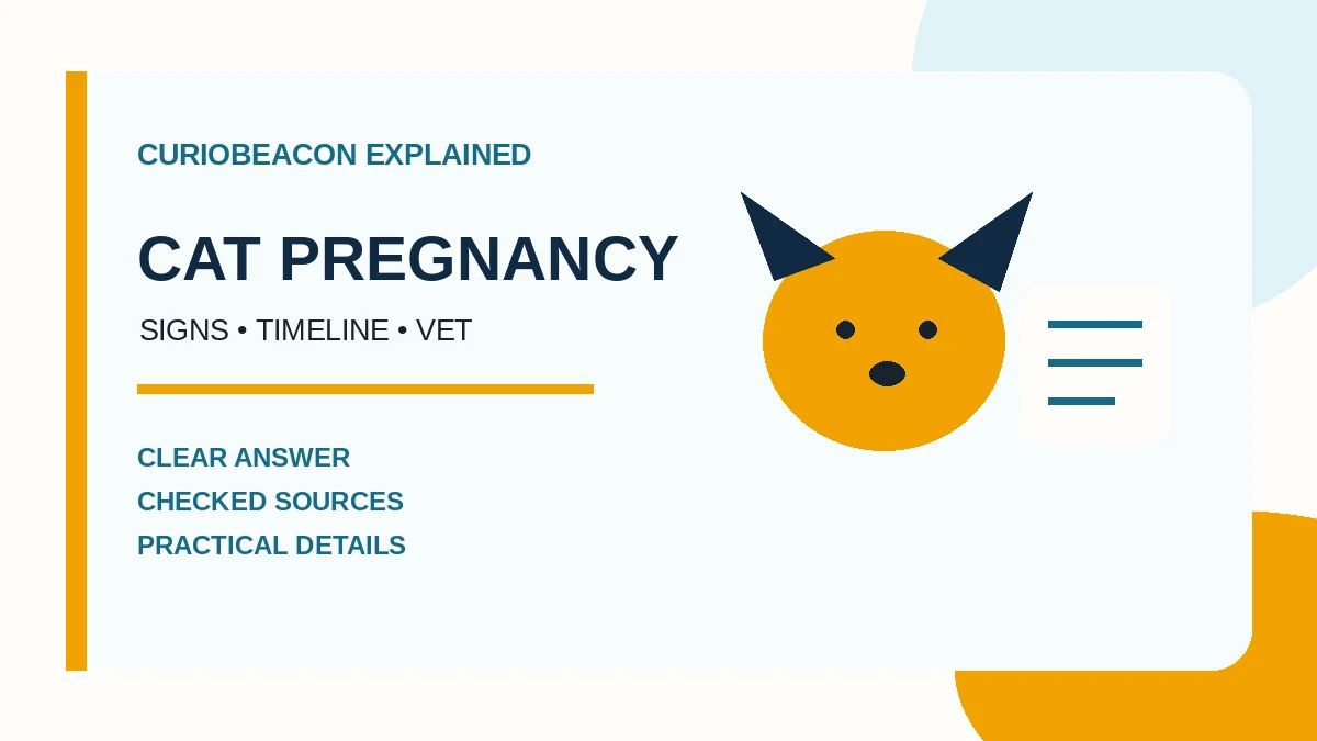 CurioBeacon illustration of a cat beside a veterinary timeline card.