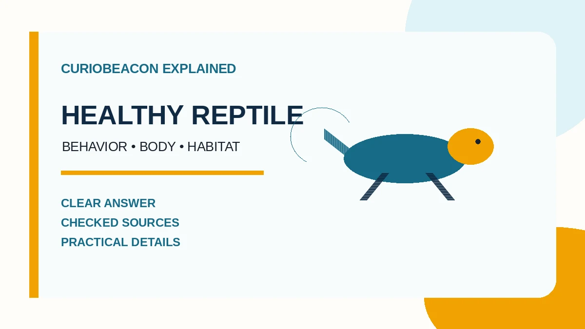 CurioBeacon illustration of a reptile and its health indicators.